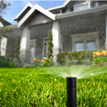 sprinkler 2
