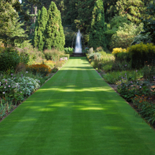 lawncare2
