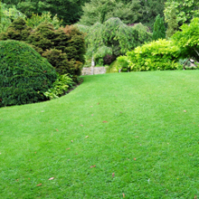 lawncare3