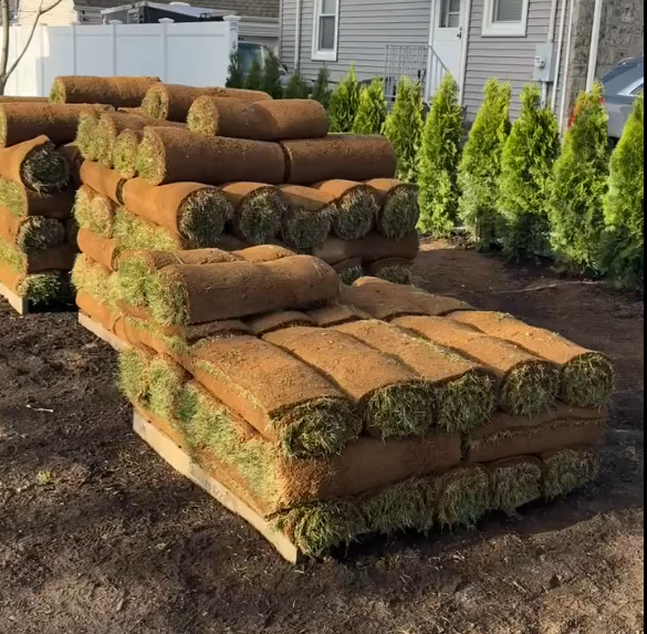 sod rolls